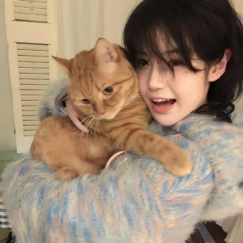 猪猪侠之英雄猪少年