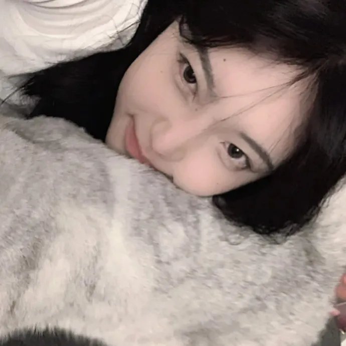 功夫兔与菜包狗第一季
